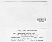 Image Associated With the Occurence